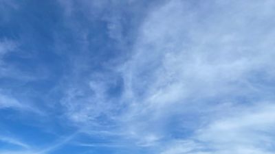 angelzmallz thumbnail