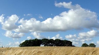 u207106842 thumbnail