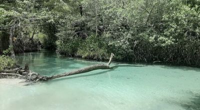 bella_feet_x thumbnail