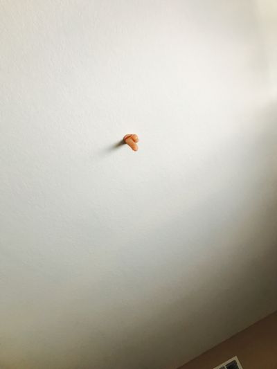 sexxxdreamzzz thumbnail