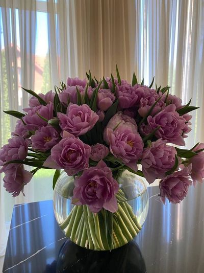 u172816386 thumbnail