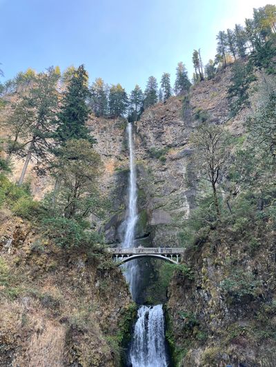 showtimedom99 thumbnail