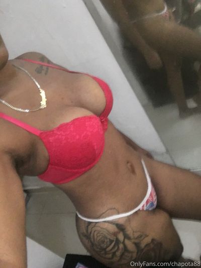 lachapota881 profile