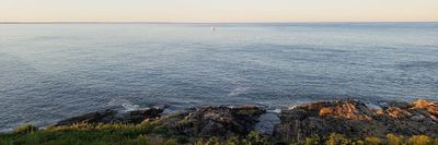 Max Weinbach thumbnail