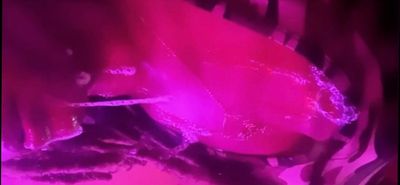 herslxtking thumbnail