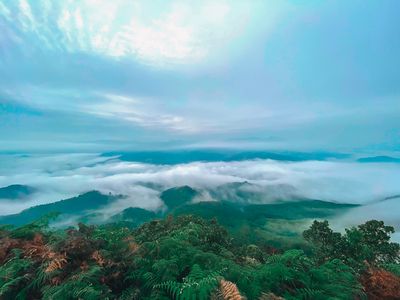 rainthai009347 thumbnail