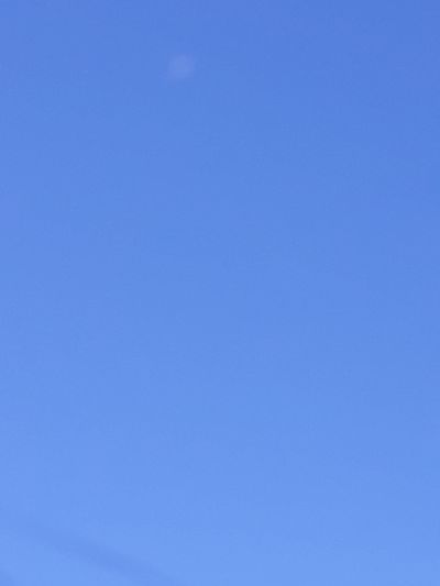 baby.kitten.98 thumbnail