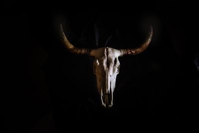 maquinario thumbnail