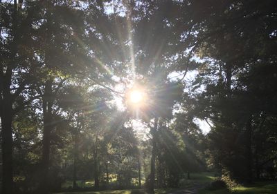 bambii_babyy thumbnail