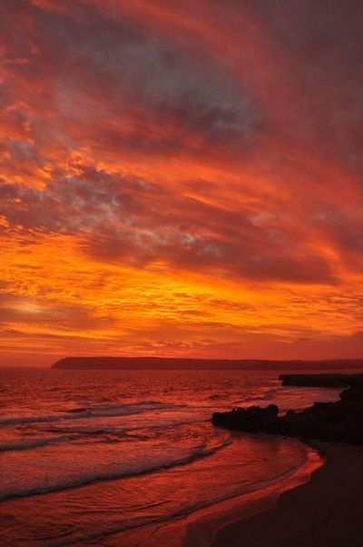 slimthcparadise thumbnail