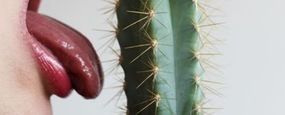 rosehipsdontlie thumbnail