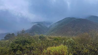 patronef16 thumbnail