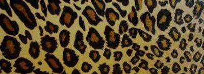 specialkxo thumbnail