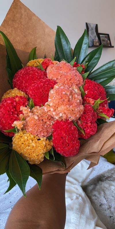 littledreams thumbnail