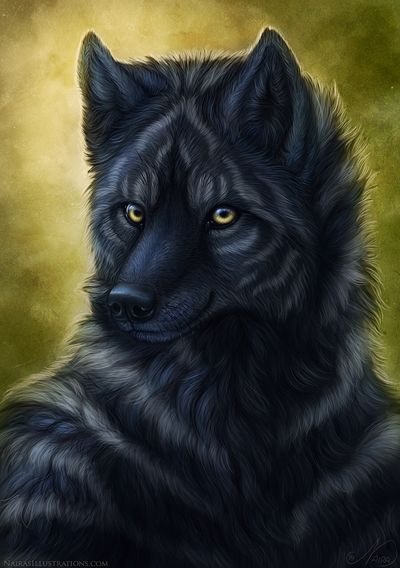 shadowstar69 thumbnail