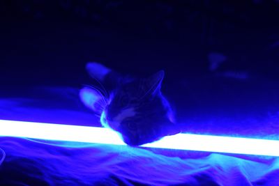 buttahsmooth thumbnail