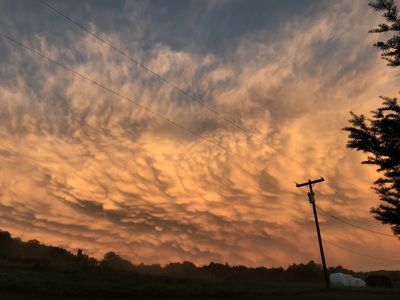 trojanman223 thumbnail