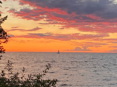 demondaily thumbnail