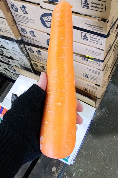 Loaded Cannon profile