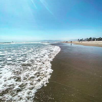 The Cali Boys thumbnail