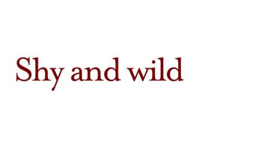 shesdesired thumbnail