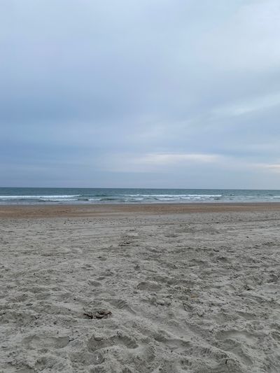 cactuswest13 thumbnail