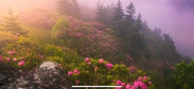 lunargoddess666 thumbnail