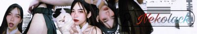 Nekolack_เจ้าแมวน้อย thumbnail