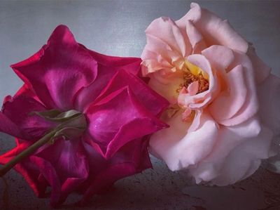 misss_potatohead thumbnail