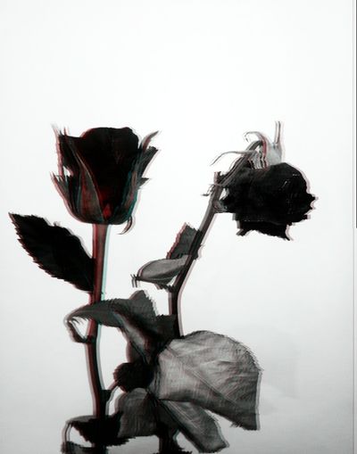 corporealether thumbnail