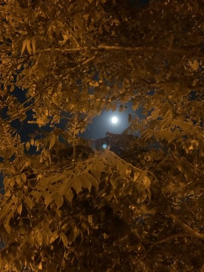 Poetic Artist profile