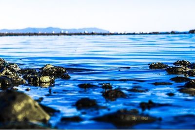 takethemomentmakeitperfect thumbnail