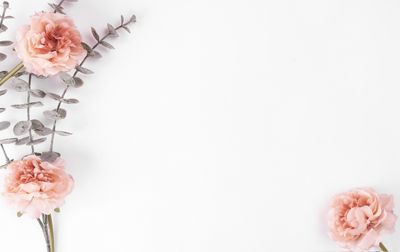 linaasecret thumbnail