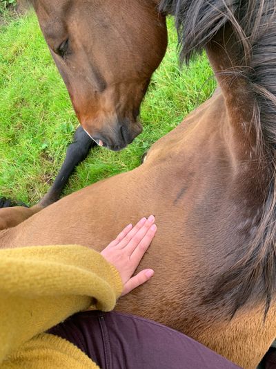 goettin2.0 thumbnail