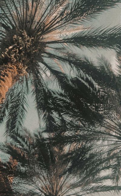 camiemilee thumbnail