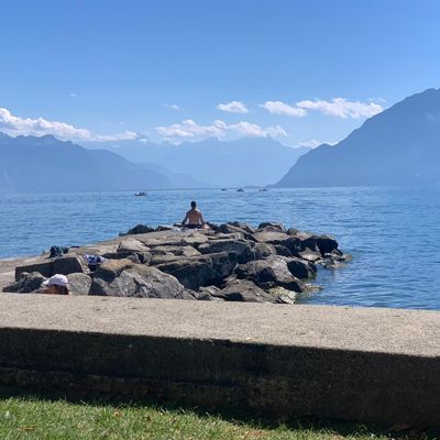 Maximilian Webster thumbnail