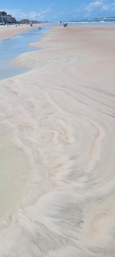 sandyshoretoes thumbnail