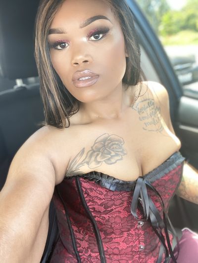 summerbunny22 profile