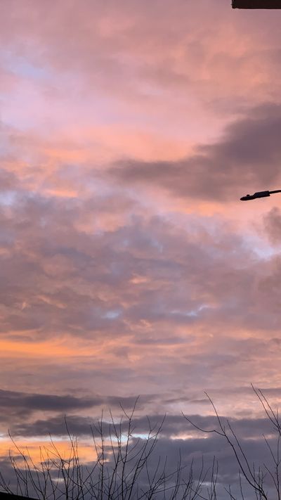 scattyqueen thumbnail