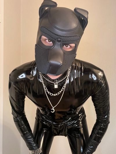 Pup_Kronos profile