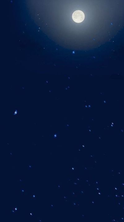 softcorvus thumbnail