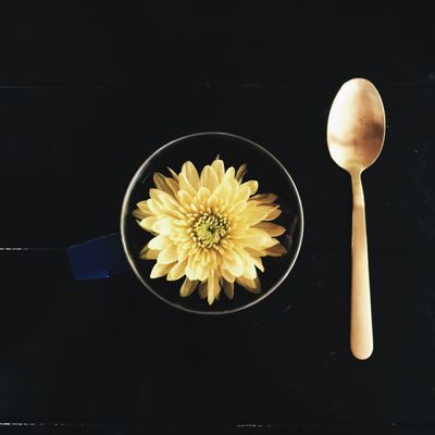 katandcoffee thumbnail