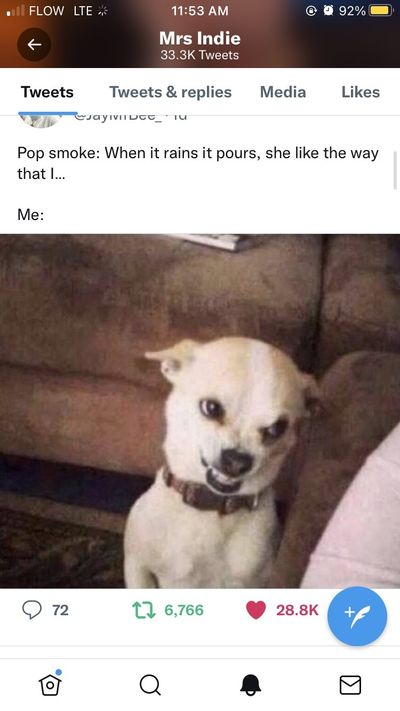 twinklethefairy profile