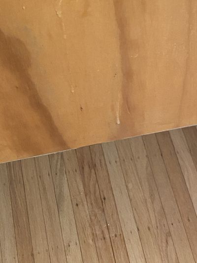 gloryholedump thumbnail