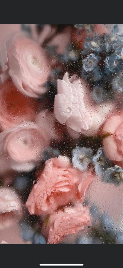 nellymc125 thumbnail