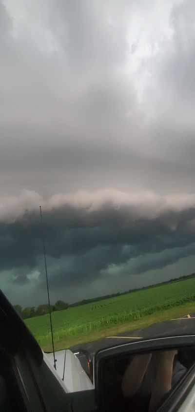 sparkleswirl thumbnail