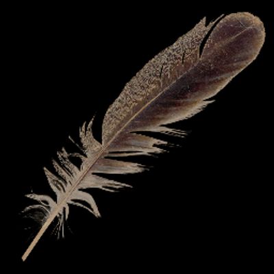 Kinky and Ticklish profile