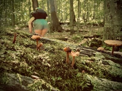 abbyberry_xo thumbnail