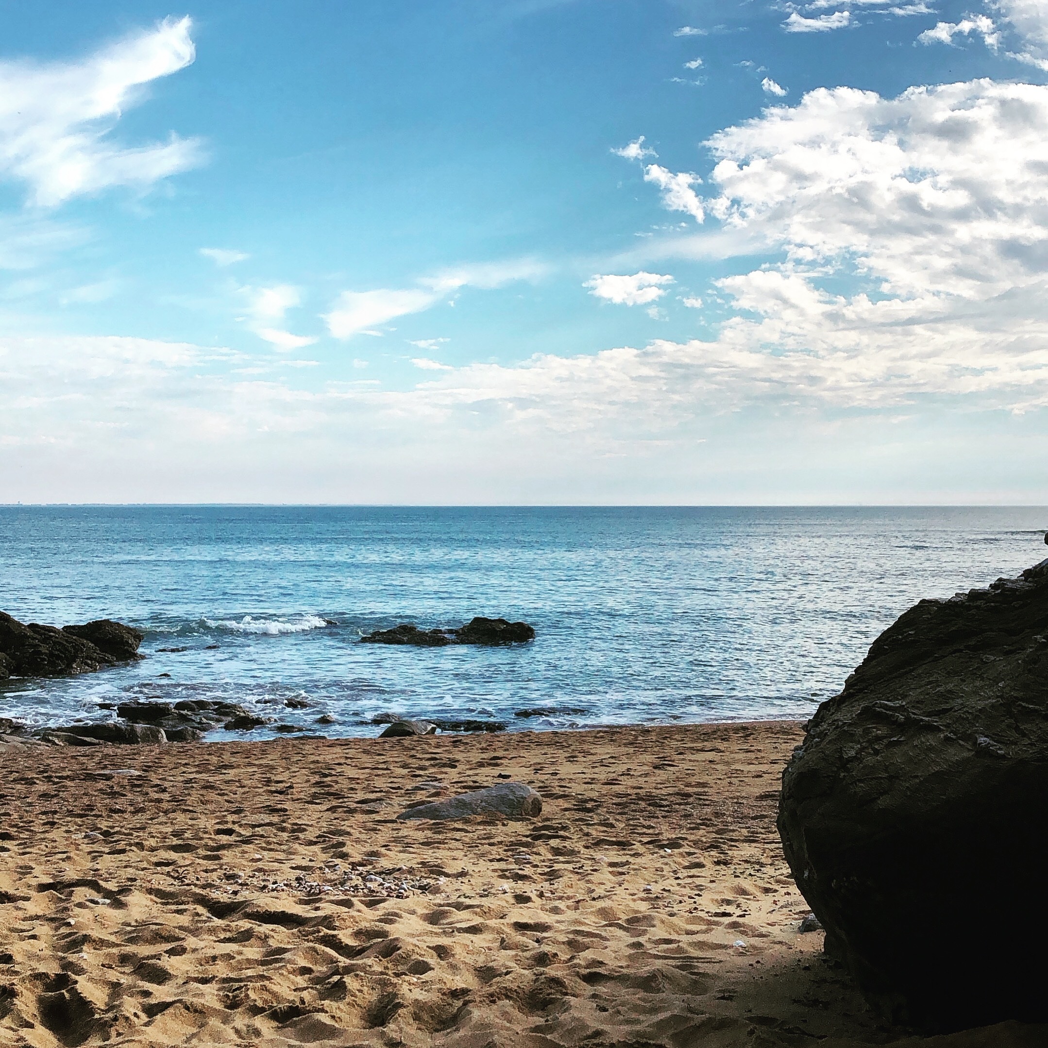 beardedotterx thumbnail