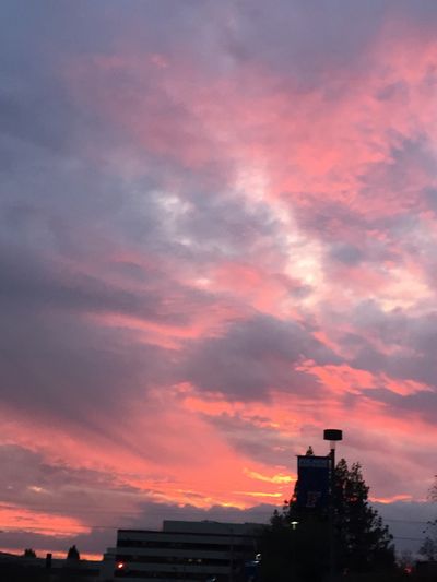 promisepeach thumbnail